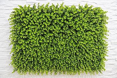 驾驶游戏《全速以赴》Steam页面上线 2024年第三季度发售